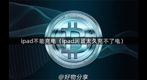 ipad不能充电（ipad闲置太久充不了电）