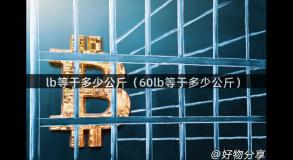 lb等于多少公斤（60lb等于多少公斤）