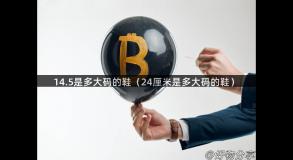 14.5是多大码的鞋（24厘米是多大码的鞋）