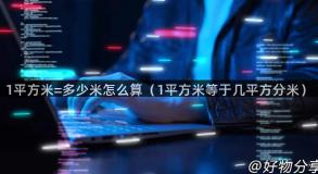 1平方米=多少米怎么算（1平方米等于几平方分米）