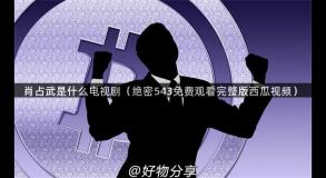 肖占武是什么电视剧（绝密543免费观看完整版西瓜视频）