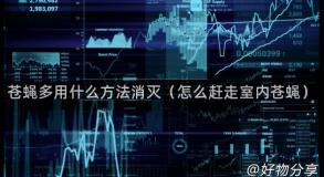 苍蝇多用什么方法消灭（怎么赶走室内苍蝇）