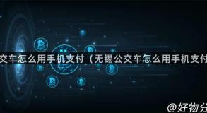 公交车怎么用手机支付（无锡公交车怎么用手机支付）