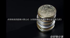 点到线段的距离计算公式（点到线段的距离计算公式立体几何）