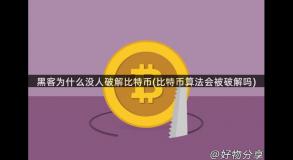 黑客为什么没人破解比特币(比特币算法会被破解吗)