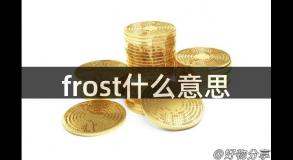 frost什么意思