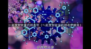 一起发财致富的群名字（一起发财致富的群名字搞笑）