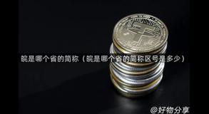 皖是哪个省的简称（皖是哪个省的简称区号是多少）