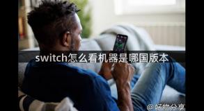 switch怎么看机器是哪国版本