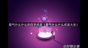 霸气什么什么的四字成语（霸气什么什么成语大全）