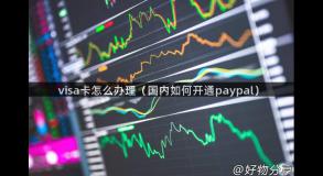 visa卡怎么办理（国内如何开通paypal）