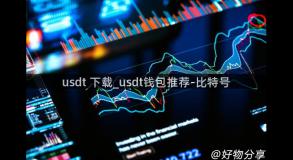 usdt 下载_usdt钱包推荐-比特号