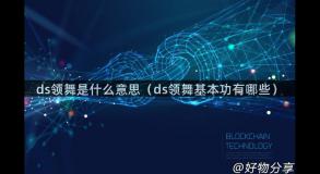 ds领舞是什么意思（ds领舞基本功有哪些）