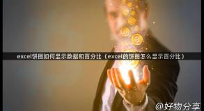 excel饼图如何显示数据和百分比（excel的饼图怎么显示百分比）