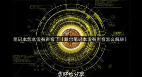 笔记本怎么没有声音了（戴尔笔记本没有声音怎么解决）