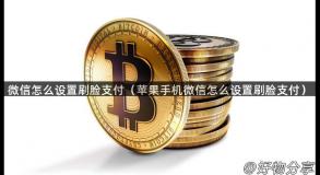 微信怎么设置刷脸支付（苹果手机微信怎么设置刷脸支付）