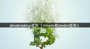 dmdmidmp区别（dmem和imdm区别）