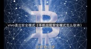 vivo退出安全模式（手机出现安全模式怎么取消）