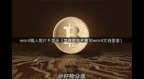 word插入图片不显示（怎样把图片放到word文档里面）