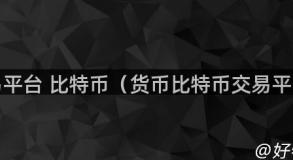 交易平台 比特币（货币比特币交易平台）