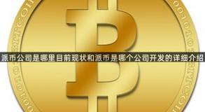 派币公司是哪里目前现状和派币是哪个公司开发的详细介绍