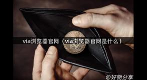 via浏览器官网（via浏览器官网是什么）