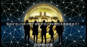 蚂蚁矿机s19多少钱？蚂蚁矿机s19平均回本周期是多久？