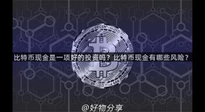 比特币现金是一项好的投资吗？比特币现金有哪些风险？