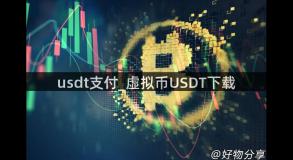 usdt支付_虚拟币USDT下载