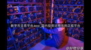 数字币交易平台app_国内投资比特币的正规平台