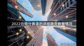 2022各细分赛道的详细融资数据情况