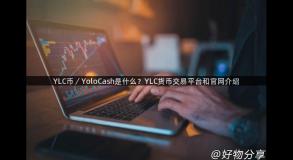 YLC币／YoloCash是什么？YLC货币交易平台和官网介绍