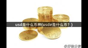 usd是什么币种(usde是什么币？)