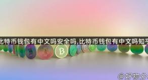 比特币钱包有中文吗安全吗,比特币钱包有中文吗知乎