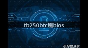 tb250btc刷bios