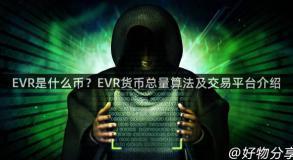 EVR是什么币？EVR货币总量算法及交易平台介绍