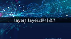 layer1 layer2是什么？