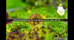 美国证券交易委员会反对币安美国收购Voyager Digital的计划