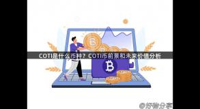 COTI是什么币种？COTI币前景和未来价值分析