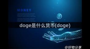 doge是什么货币(doge)