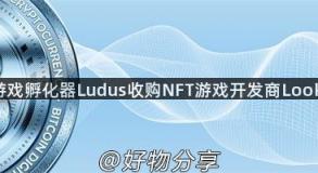 数字游戏孵化器Ludus收购NFT游戏开发商LookLabs