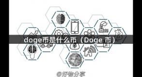 doge币是什么币（Doge 币）