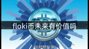 floki币未来有价值吗