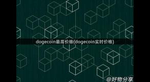 dogecoin最高价格(dogecoin实时价格)