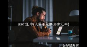 usdt汇率(人民币兑换usdt汇率)