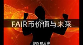 FAIR币价值与未来