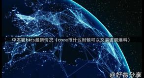 中本聪btcs最新情况（core币什么时候可以交易进展爆料）