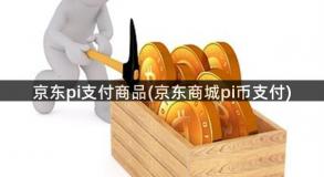 京东pi支付商品(京东商城pi币支付)