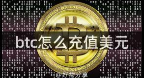 btc怎么充值美元