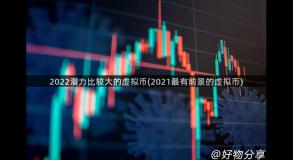 2022潜力比较大的虚拟币(2021最有前景的虚拟币)